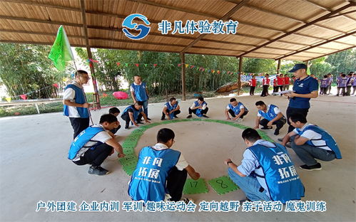 体验式拓展热潮下，珠海拓展训练公司如何重塑团队生命力
